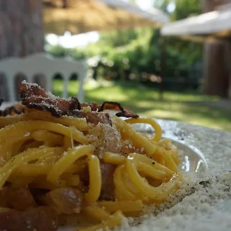 Icidia Hotel Frascati